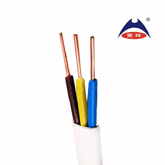 Filo elettrico Filo BV Filo BVV Filo singolo Cavo singolo Cavo di alimentazione Cavo RV Rvv Cavo flessibile in rame Filo elettrico