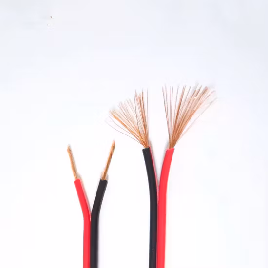 Cavo per altoparlanti audio piatto di alta qualità a 2 nuclei per video Cavo parallelo rosso nero trasparente