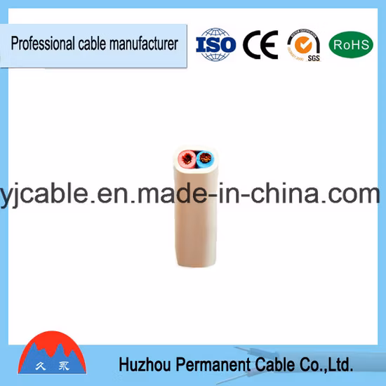Cavo BV/BVV/Bvr/Rvv/Rvvb Cavo elettrico per uso interno ed esterno/Cavo da costruzione